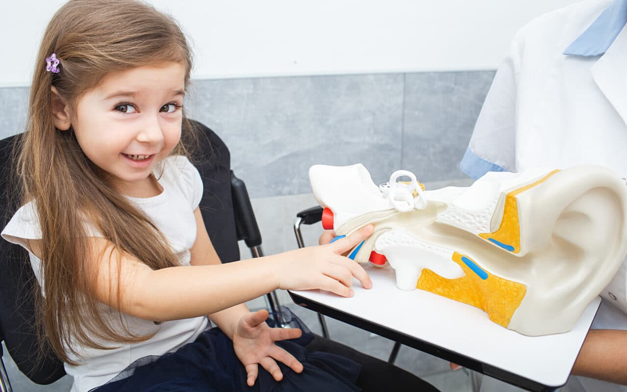Little girl studies structure of human ear system in the audiologist's office